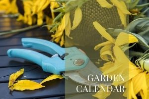 Garden Calendar Plants Page