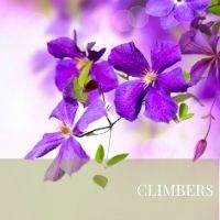Block CLIMBERS page