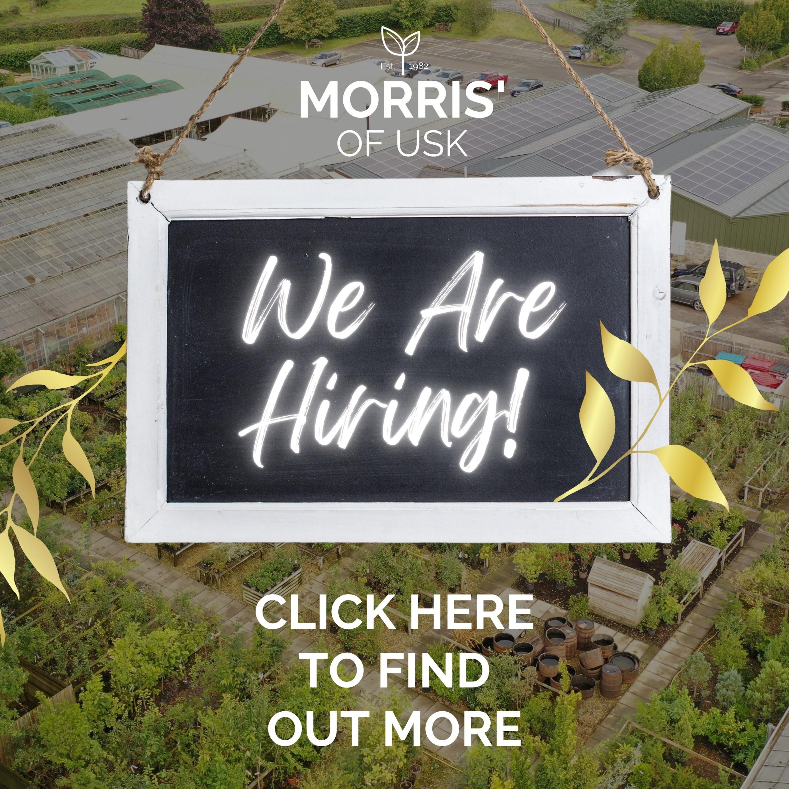 We are Hiring Instagram Post